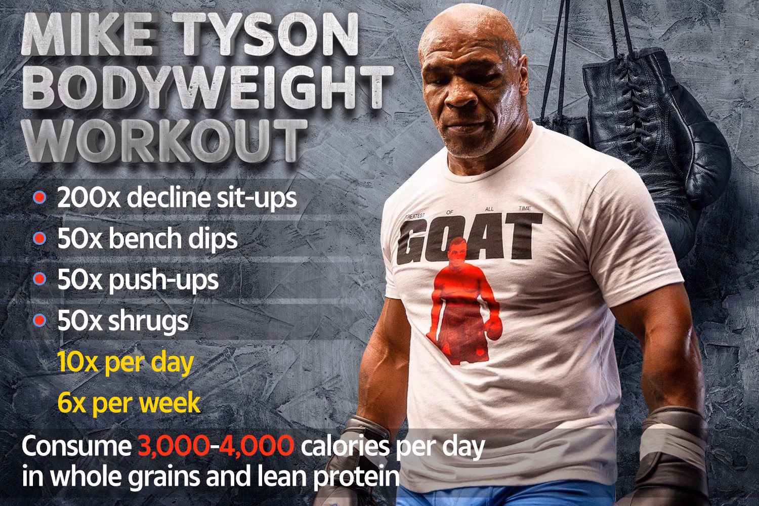 How many hours a day did Mike Tyson work out?