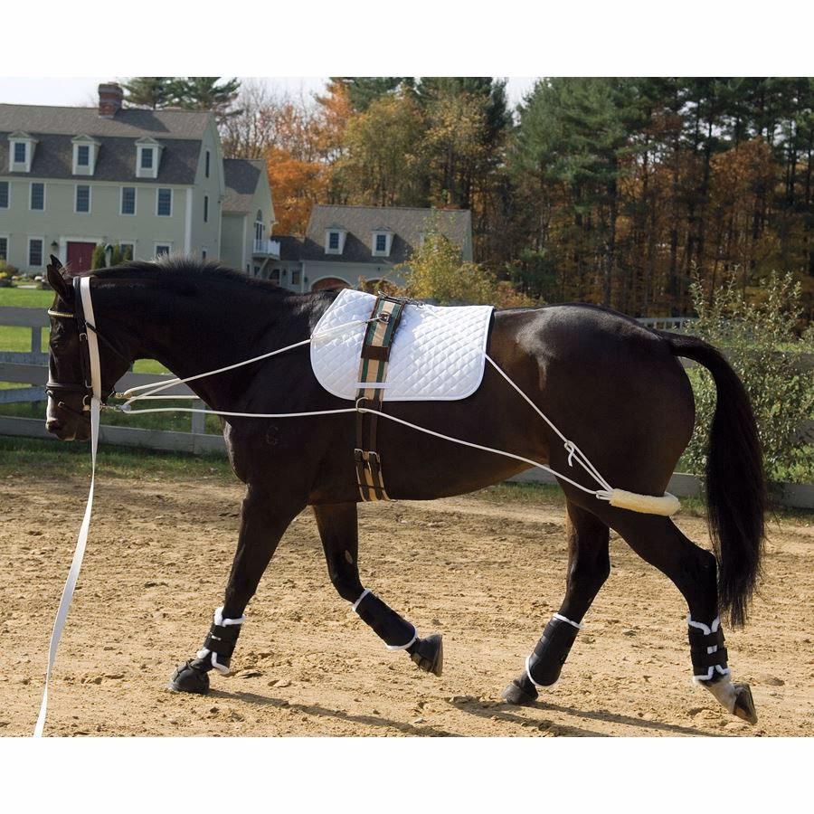 How does the Pessoa training system work?