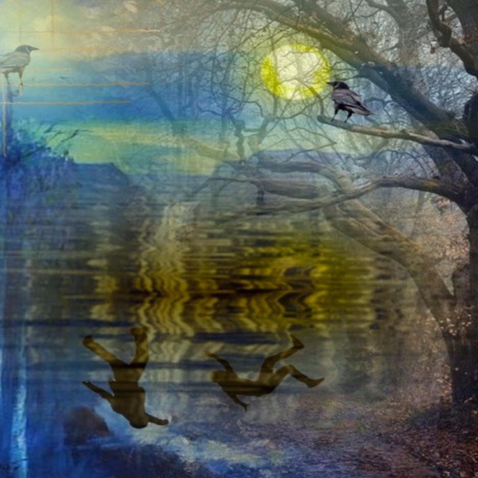 What is a unique offering from Animas Institute?