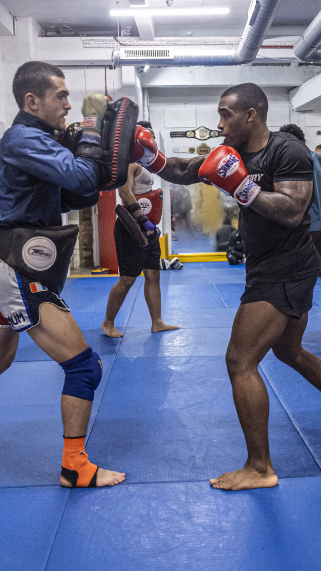 What is MMA gym London?