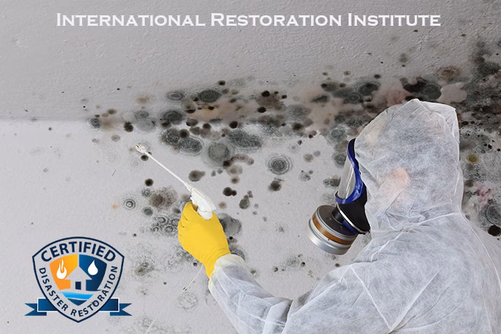 What is a mold inspector course?