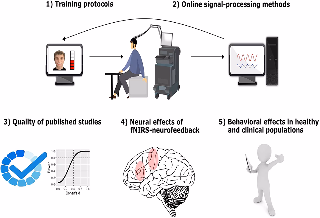 What is a neurofeedback online course?
