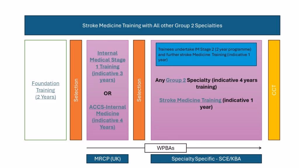 Where is neurology training based?