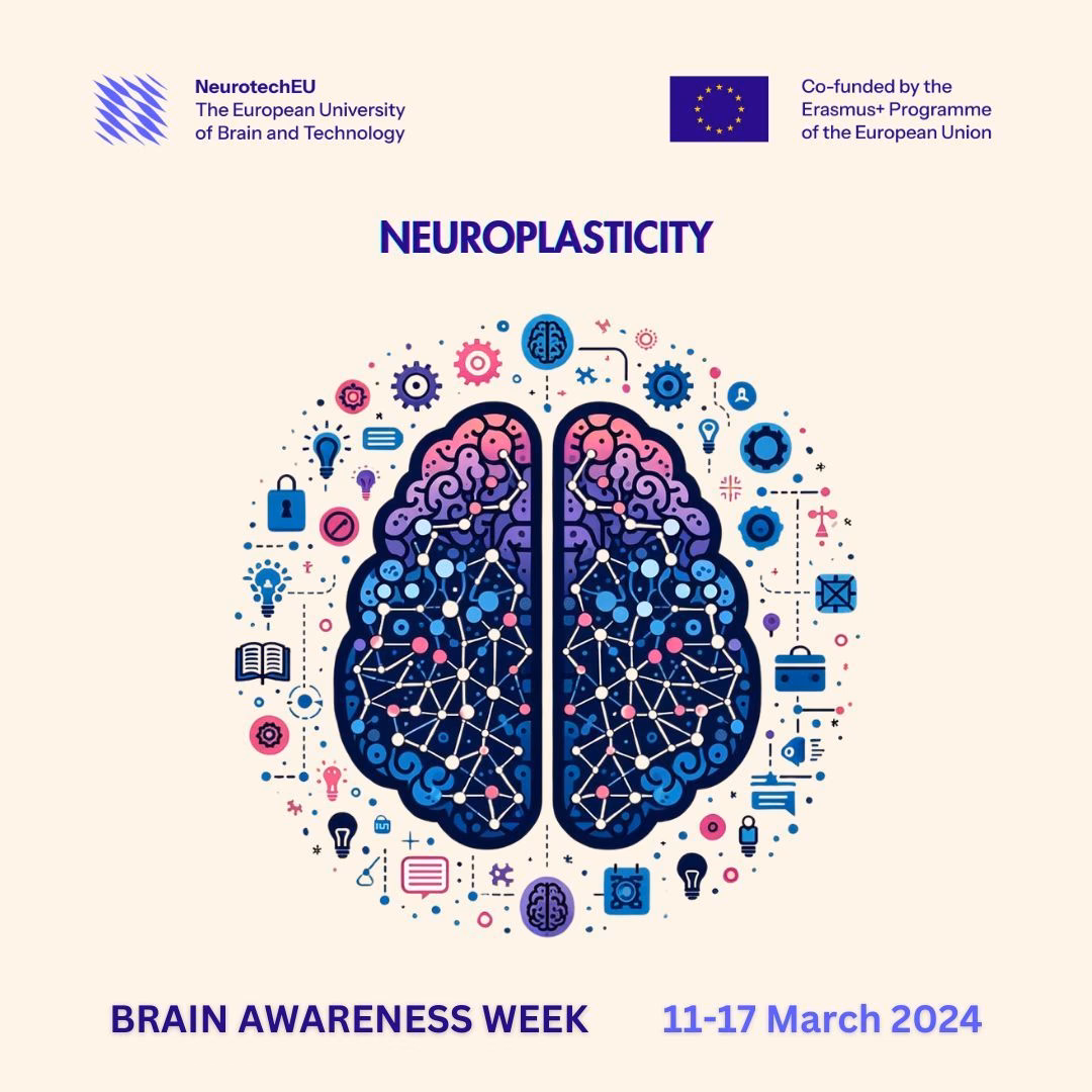 How did neuroplasticity evolve?
