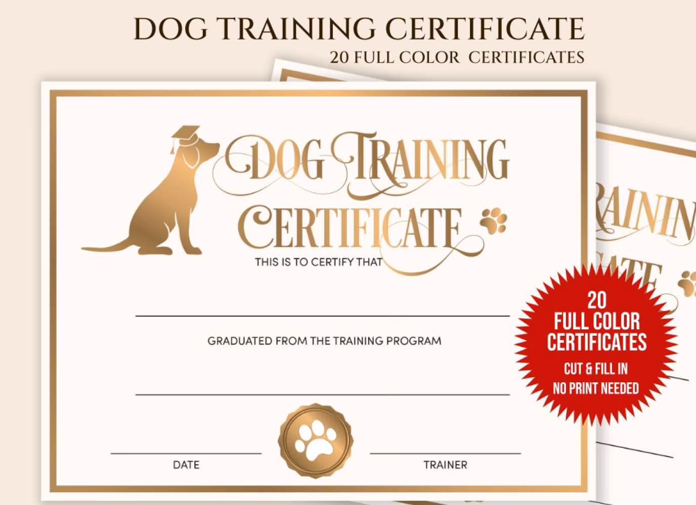 What are the Big Three of dog training?