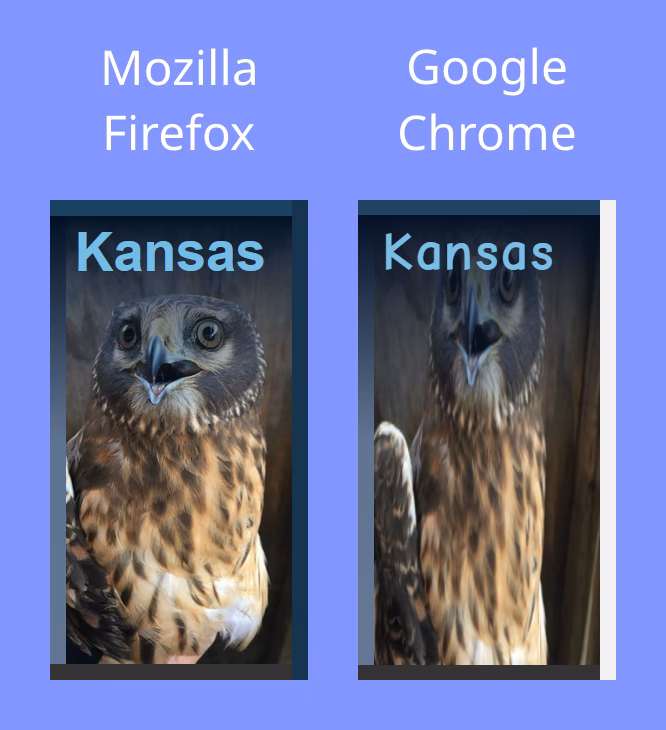 Does object fit work if only one size?