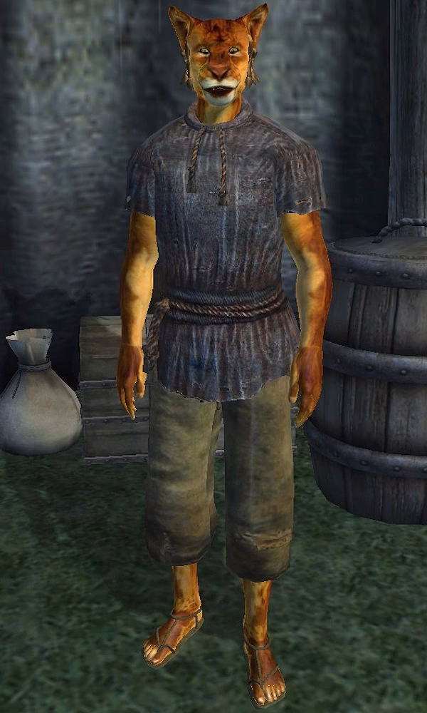 How do I get free training in Oblivion?
