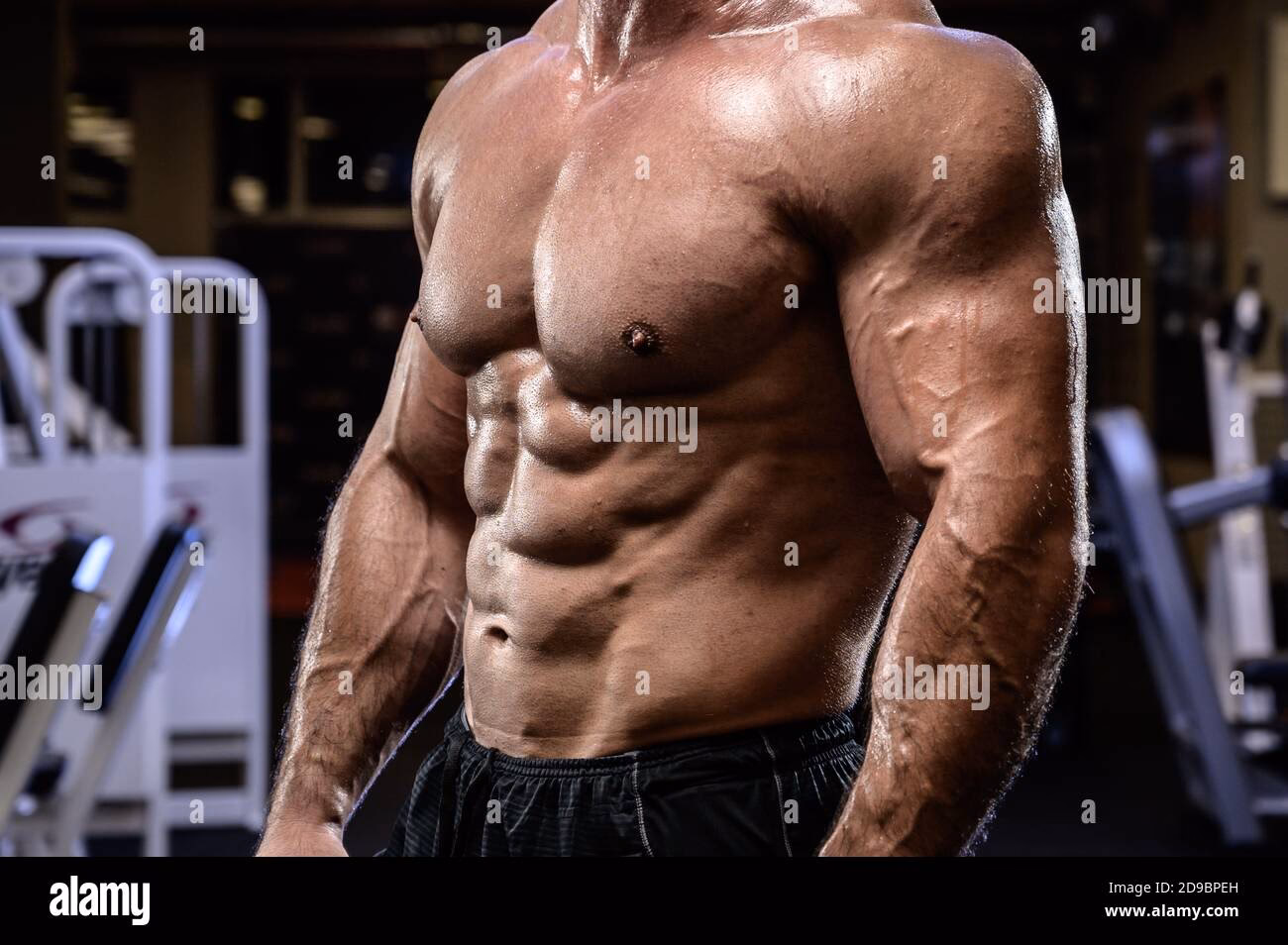 What is an oiled bodybuilder torso?