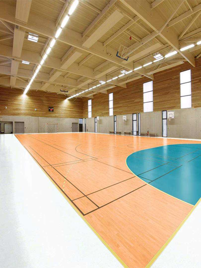 What is Omnisports training x3lt?