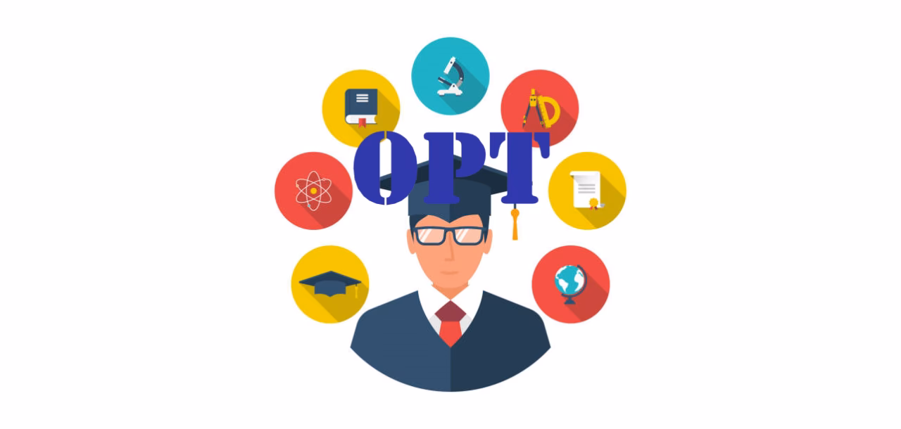 What is optional practical training?