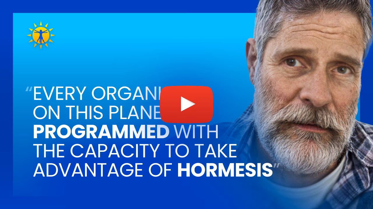 Who was Ori Hofmekler?