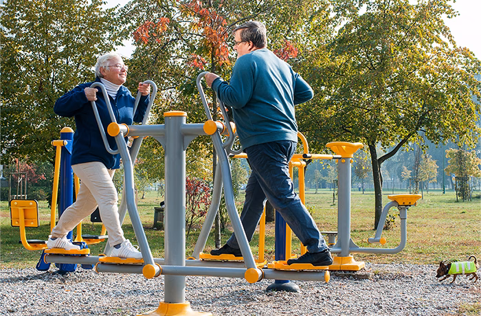What is adult outdoor gym equipment?