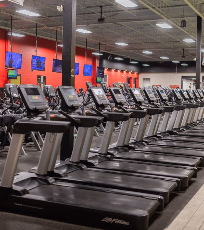 How do I Opt-Out of text messages from PA fitness?