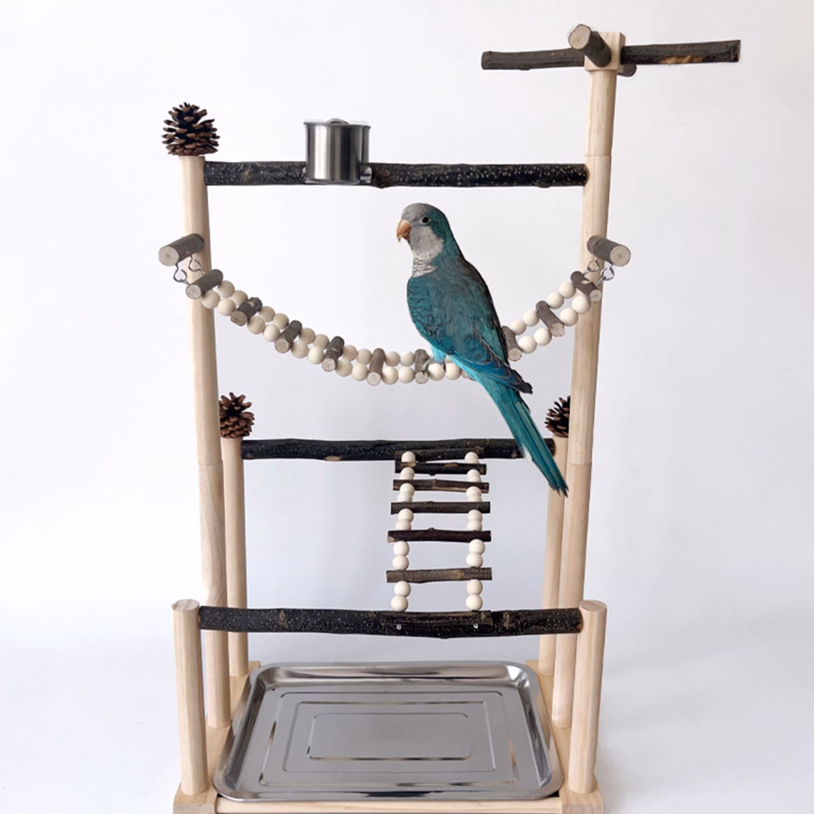 What is parrot troopers training?