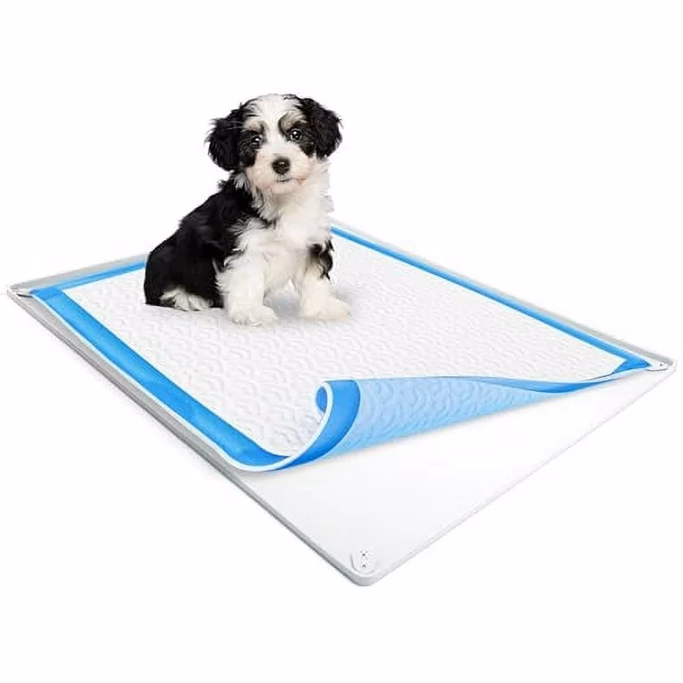 How do you train a puppy pad?