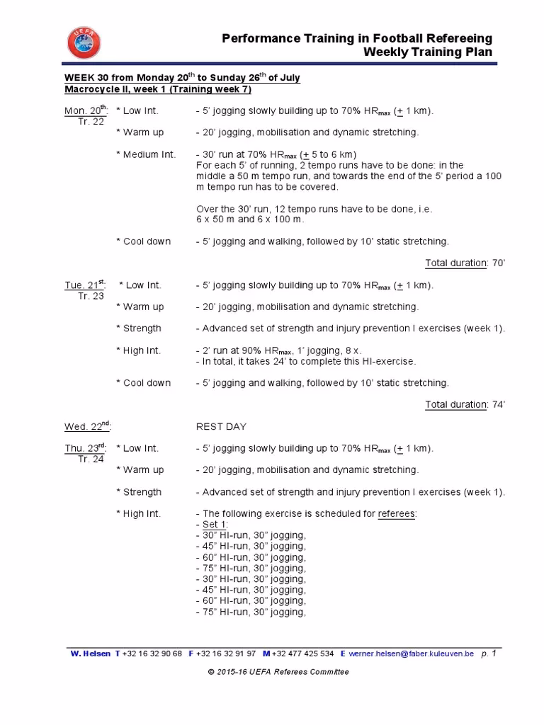 What do FIFA referees do?