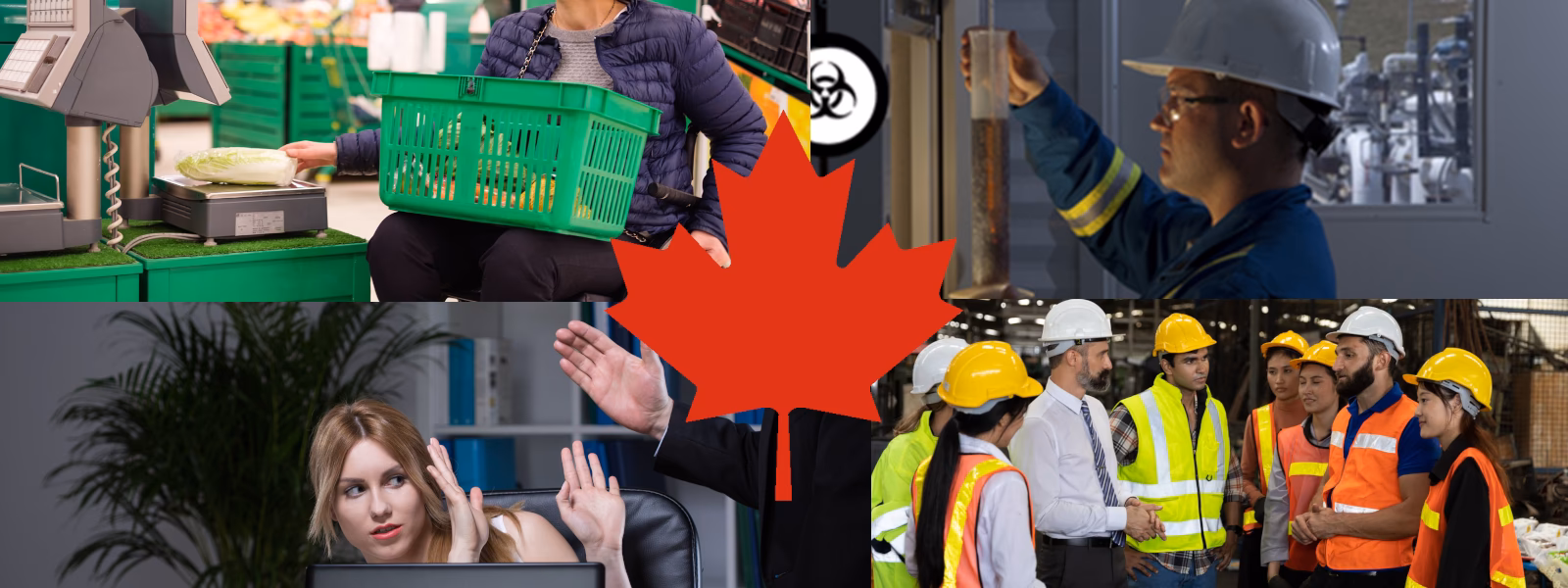 Who is pinnacle centre of Excellence?