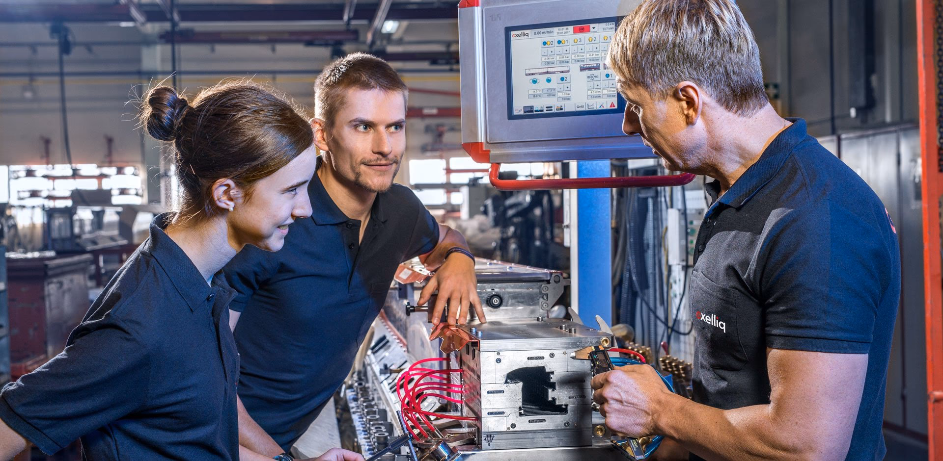 What is the plasticizing expert training course?