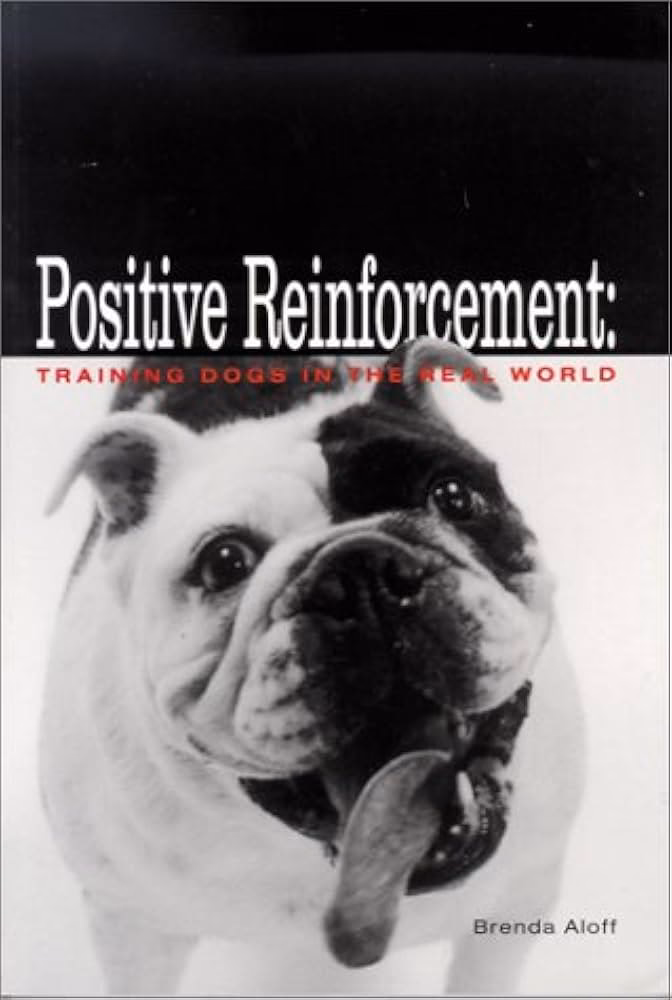 What is the power of positive dog training?