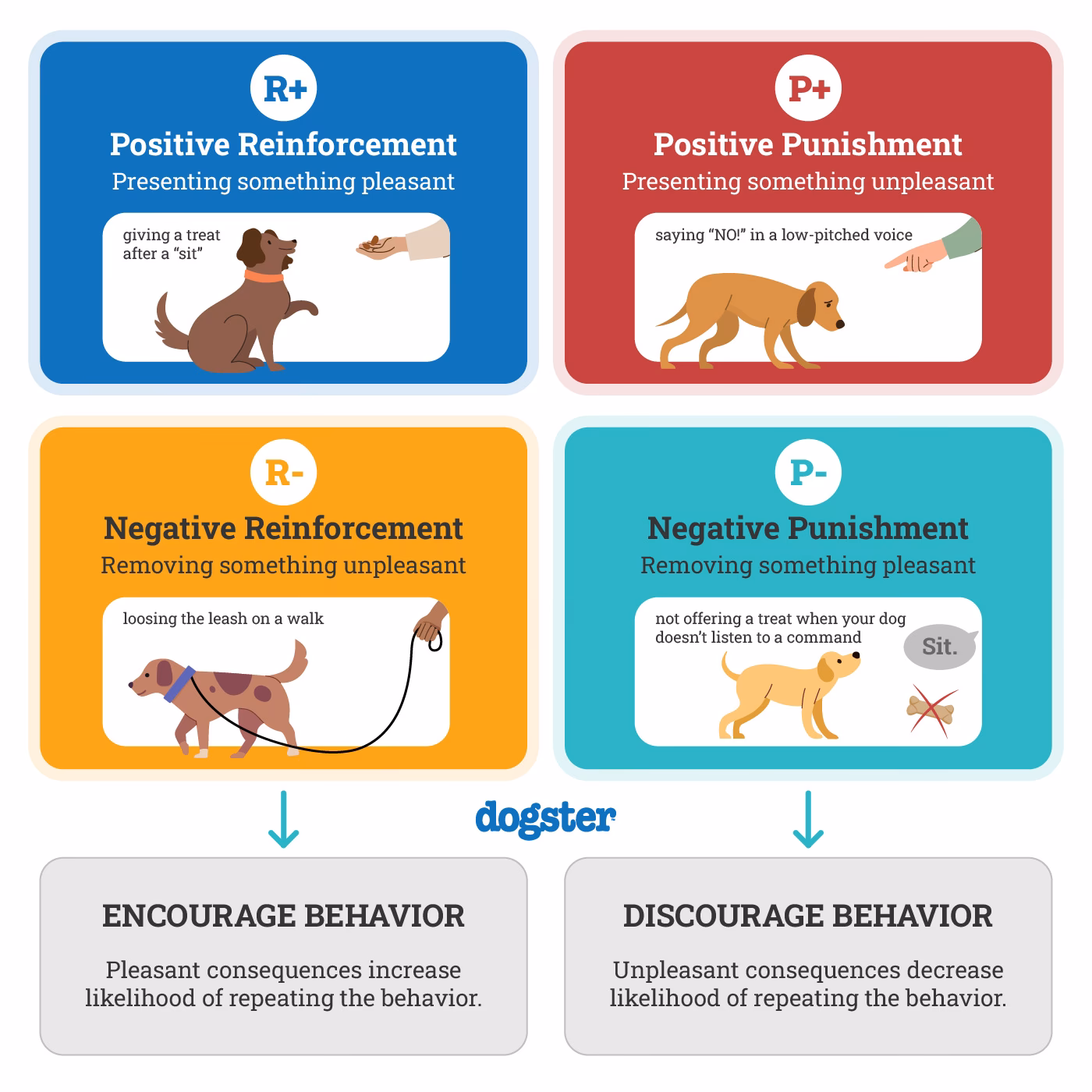 Can positive reinforcement help rehabilitate a dog?