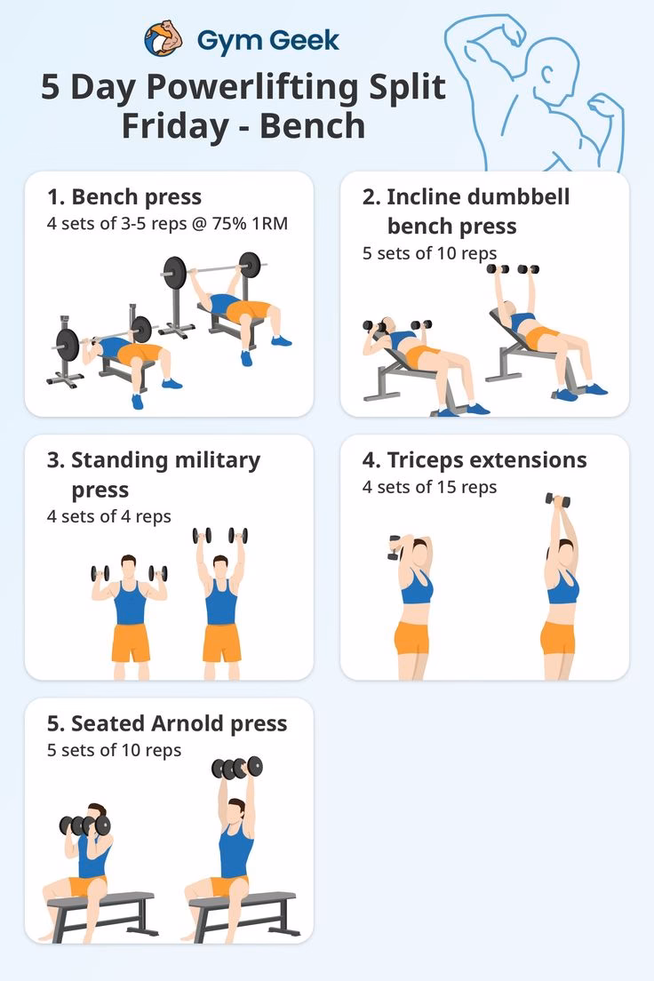 Should new powerlifters start a Beginner Program?