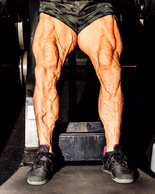 What are the benefits and effects of Primobolan?