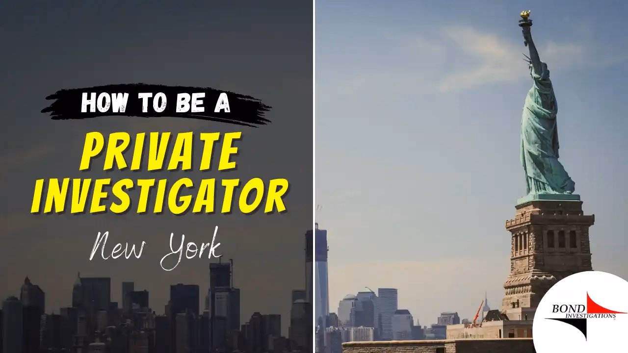 Are there online private investigator programs in New York?
