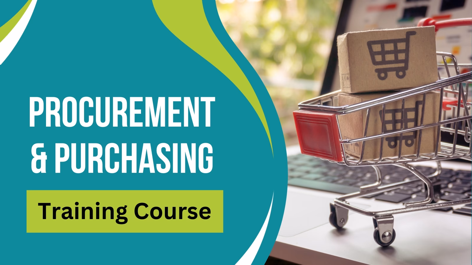 What is a procurement program?