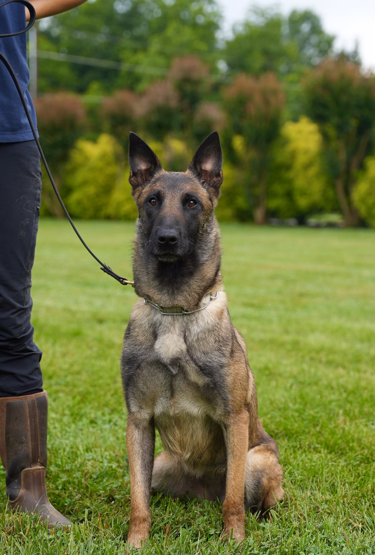 Who is Miller Ranch K9 Ltd?