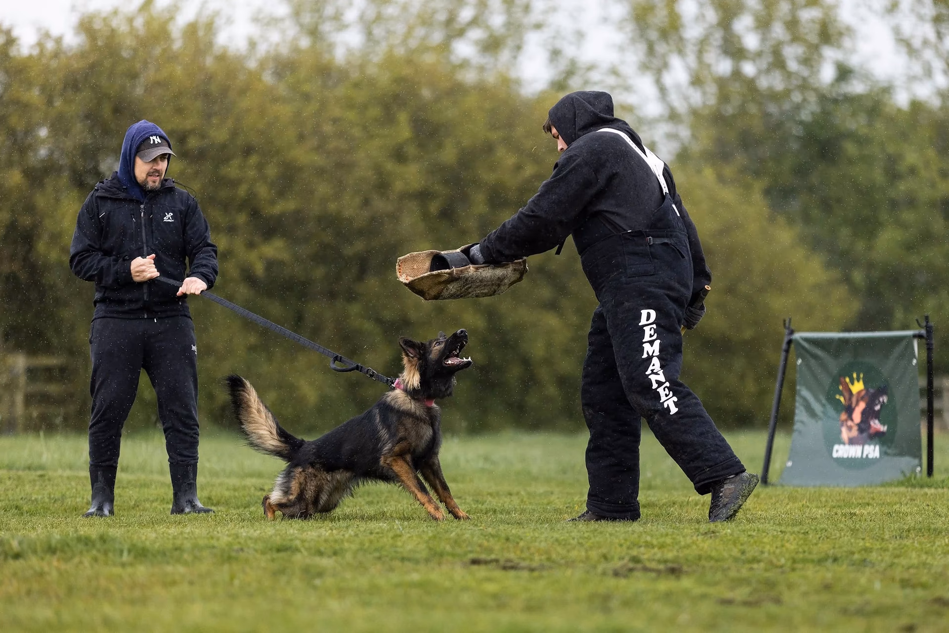 What is the EU PSA training course?