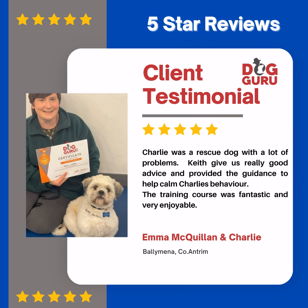 Why should you choose pdtkc dog kennels in County Antrim?