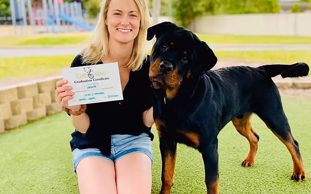 What is positive response dog training?