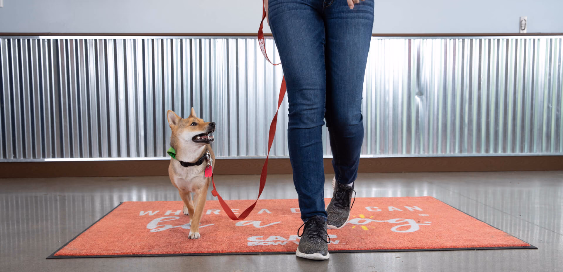 Is a puppy training class effective?