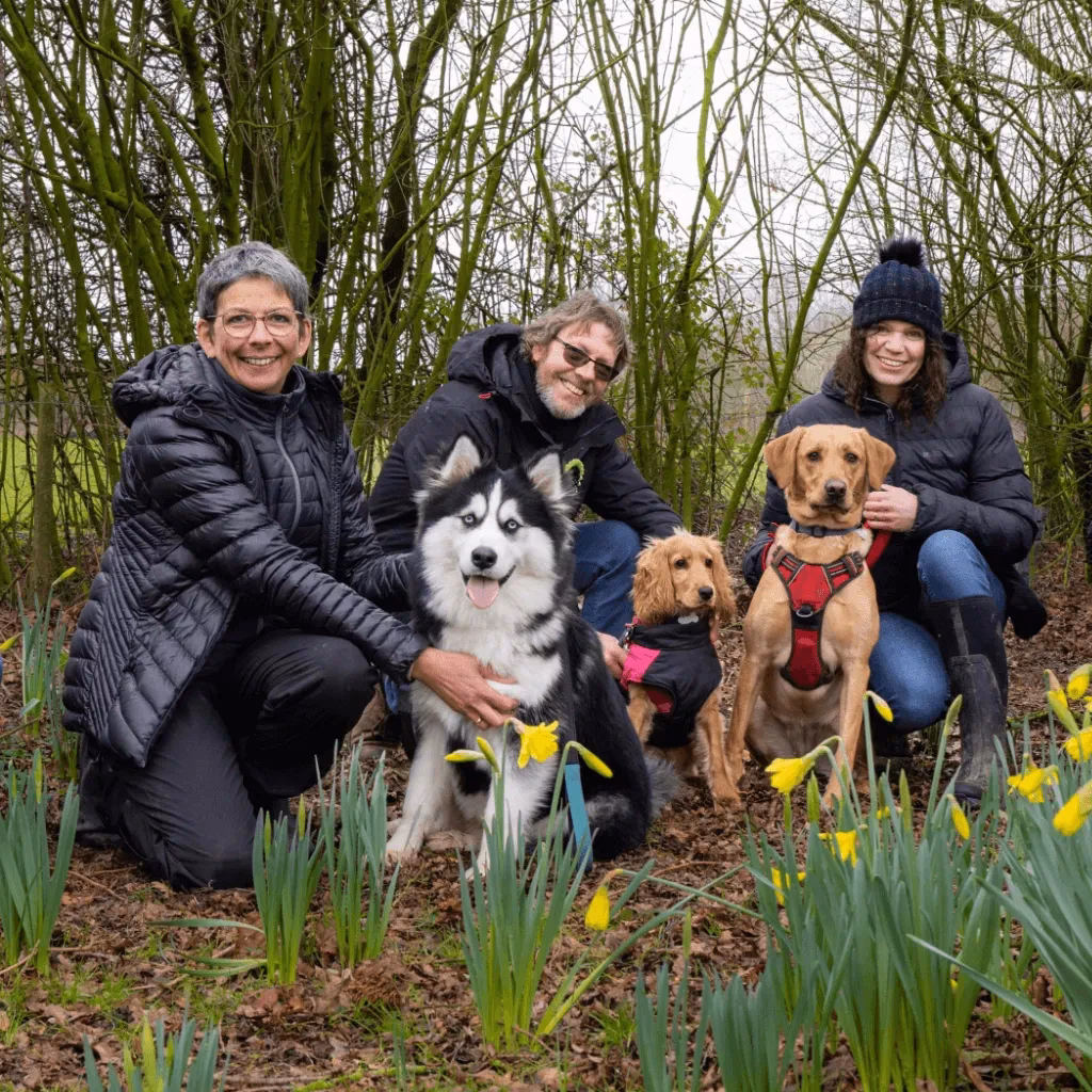 What is the best way to train a puppy?