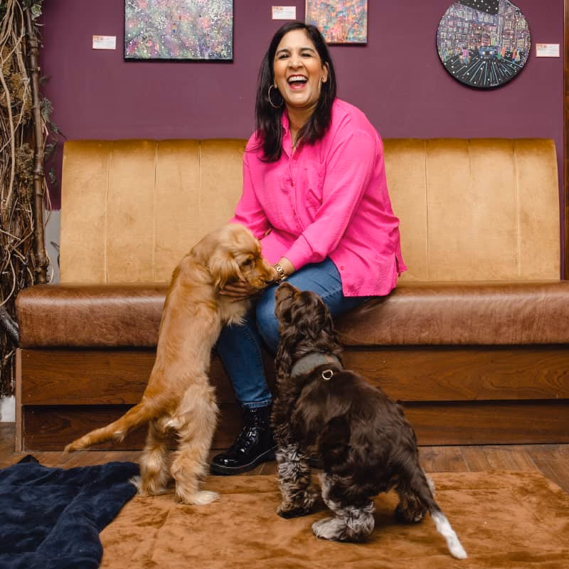 What areas does dog training cover?