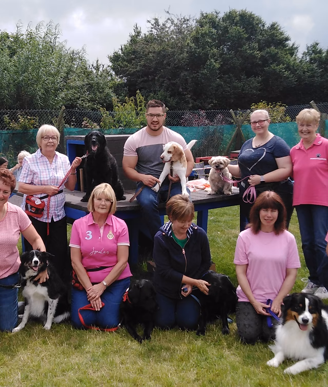 What do you want from a puppy trainer & dog behaviourist?