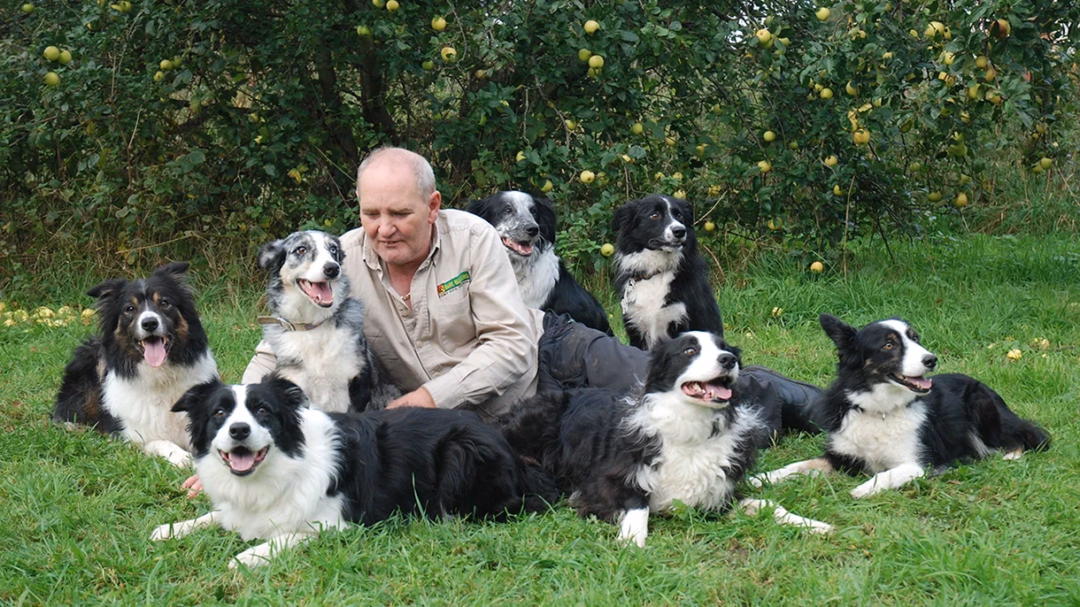 Who is Rixton dog school?