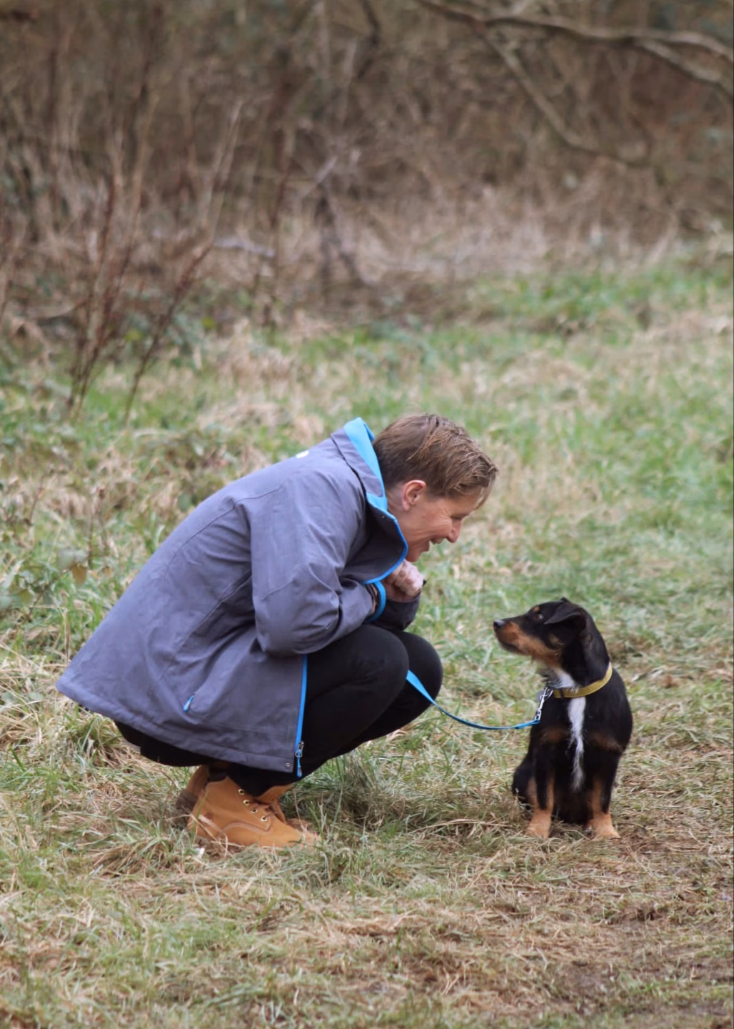 What is puppy training?
