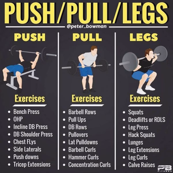 How do I structure my workouts with the push/pull/legs principles?