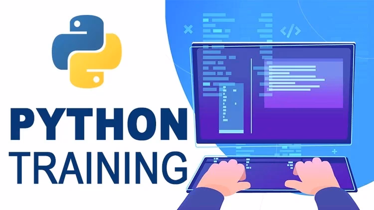What is Python training & why do you need it?