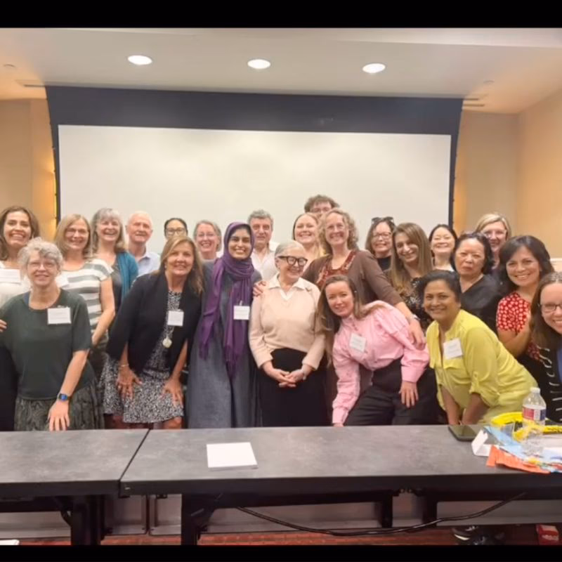 What is RDI® Program training?