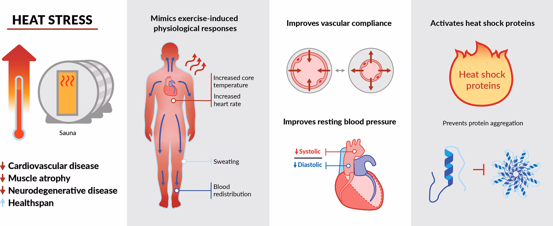 Does sauna improve performance in endurance exercise?