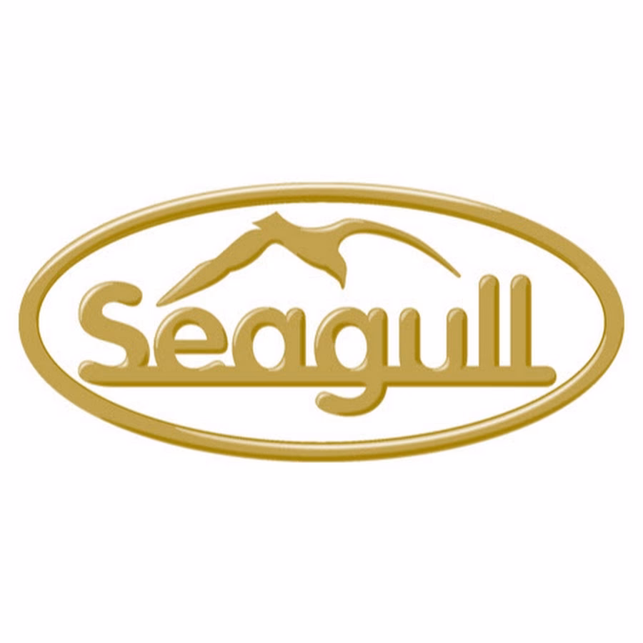 How do I access my Seagull training account?