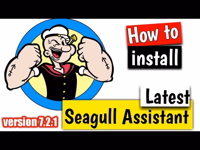 How do I access my Seagull training account?
