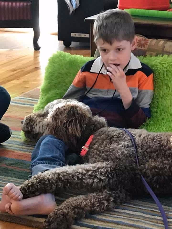 Can a dog be seizure alert?