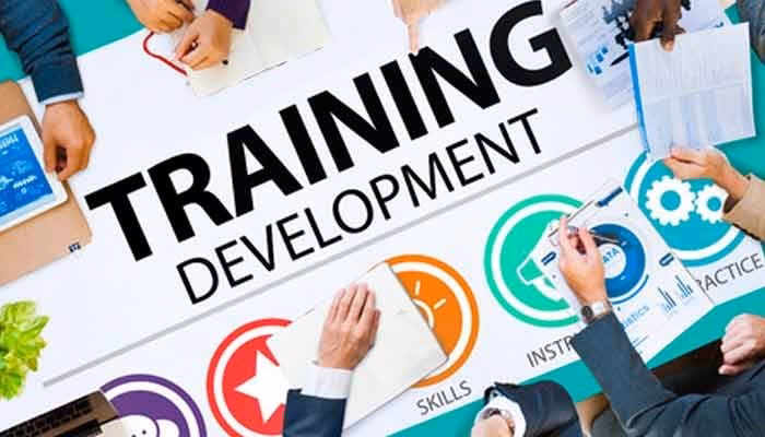 Are training sessions effective?