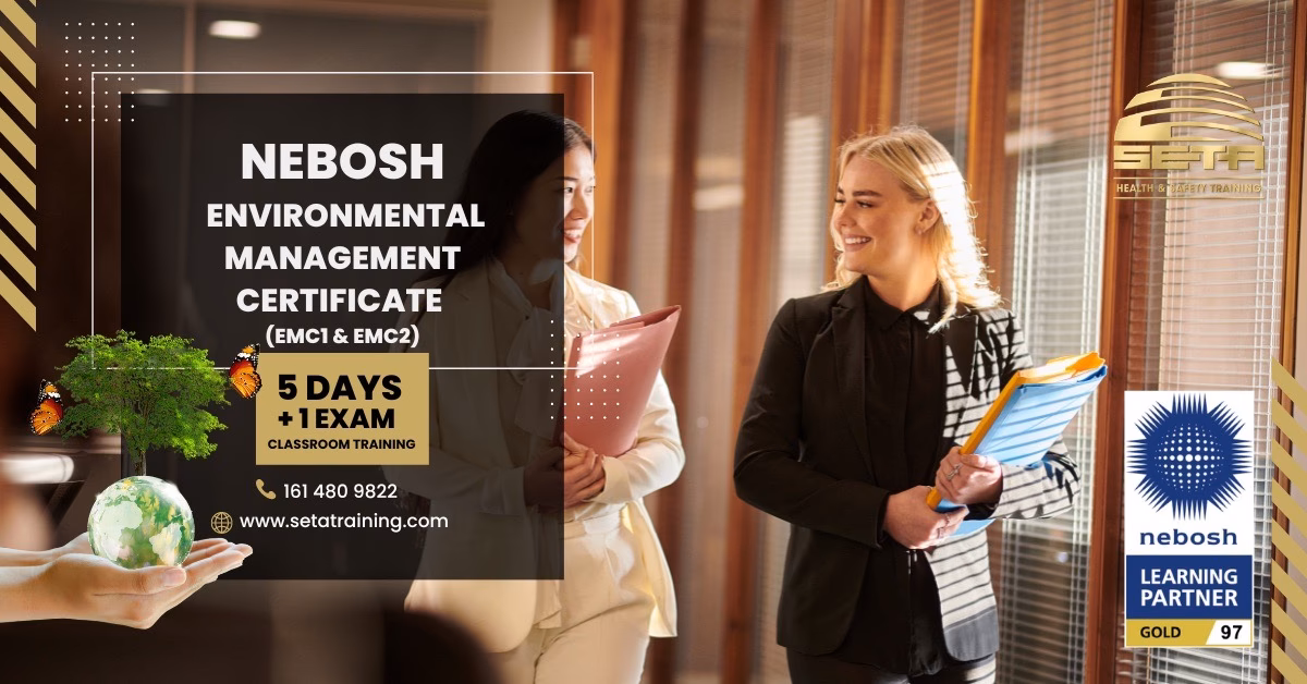 How can Seta help you?