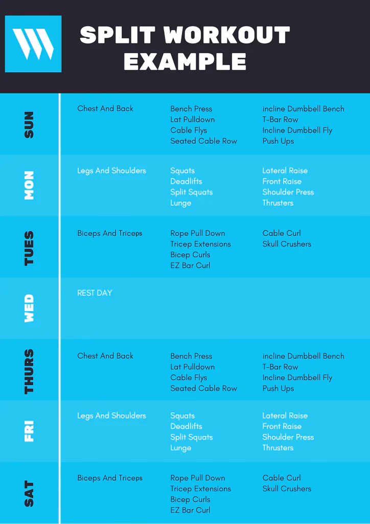 What is the difference between Split training and full-body training?