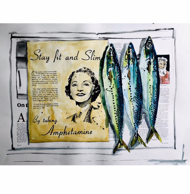 How to stay slim & fit if you eat a lot of protein?