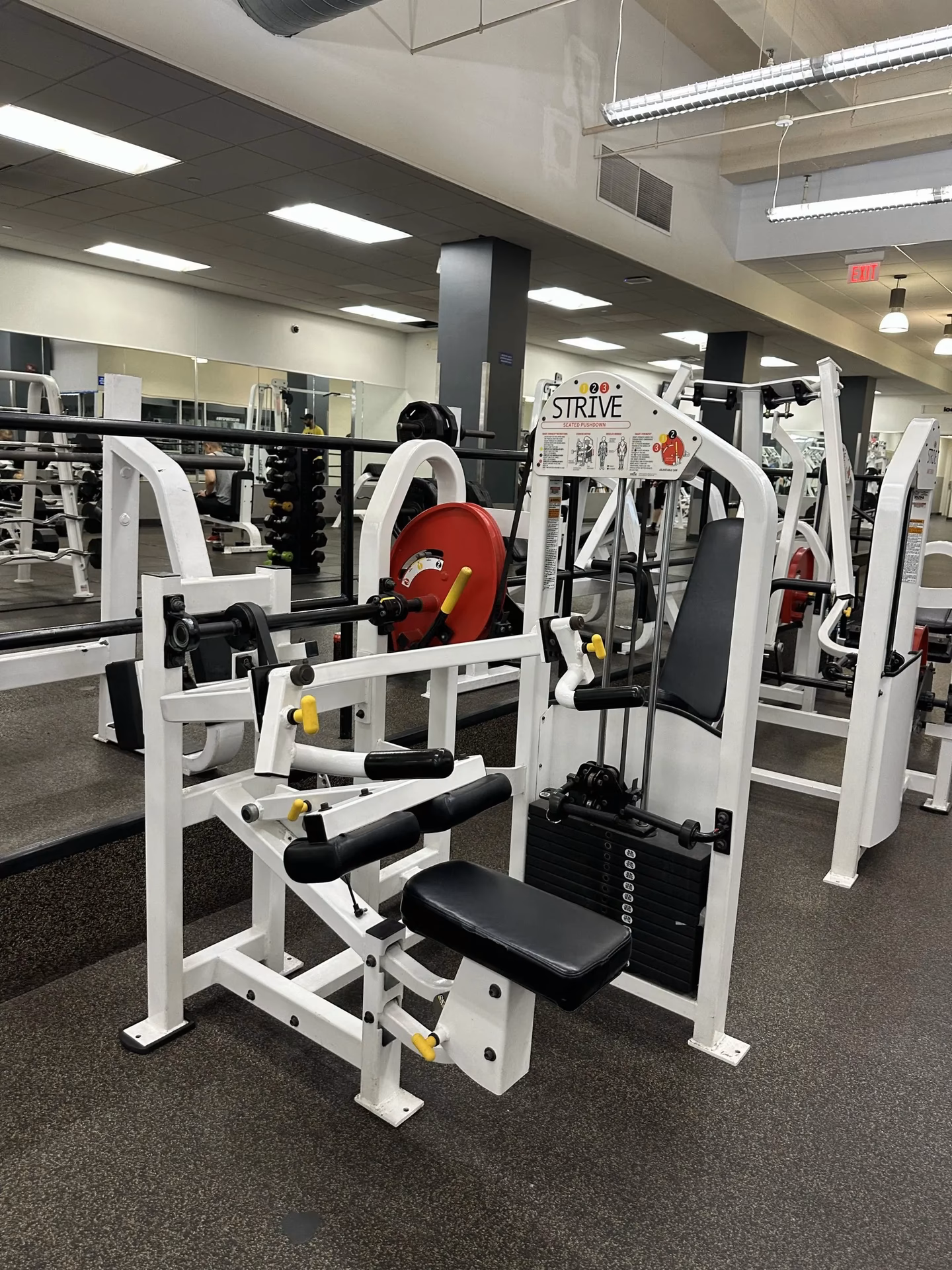 How do I get more information about Strive Fitness equipment?